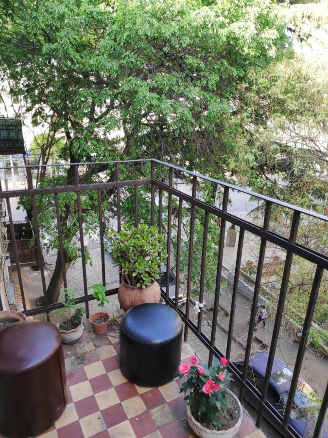 Amoun Hostel ティビリシ エクステリア 写真
